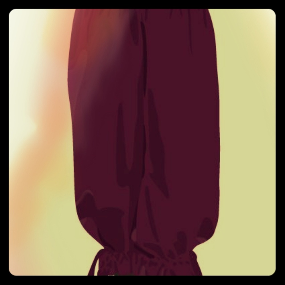 Ladies Pants